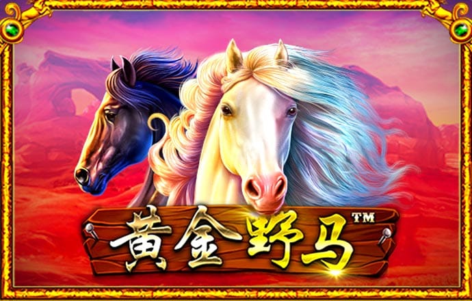 P9885:COM-WWW:P9885:COM截图3